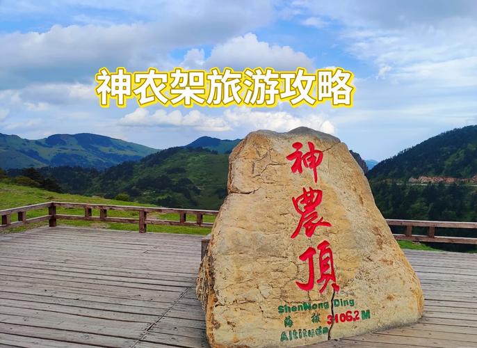 神农架买东西踩坑？这几招让你不再当冤大头！