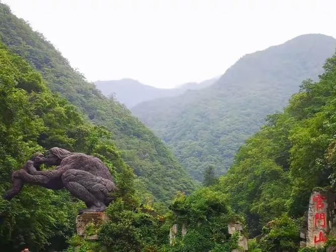 跑了八年山货，神农架林区商品现货通让我少踩仨坑