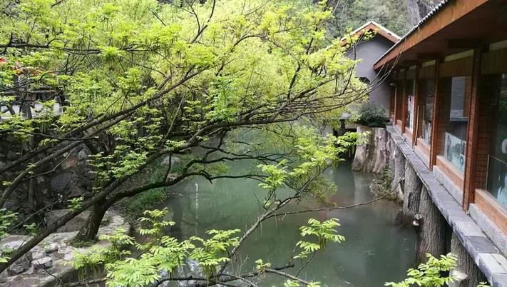 别在批发市场蹲了，神农架林区国际代理招商把山里的货递你手上